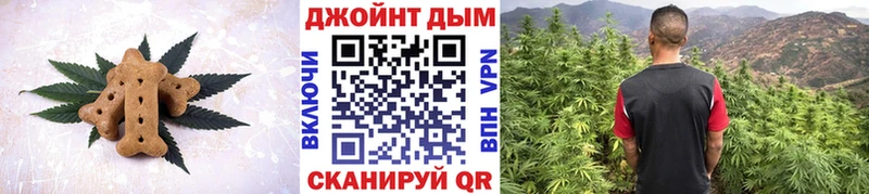 OMG ССЫЛКА  магазин    Асино  Cannafood конопля 