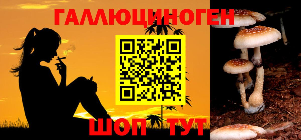 где можно купить наркотик  Галлюциногенные грибы прущие грибы  Вход с VPN  Асино 